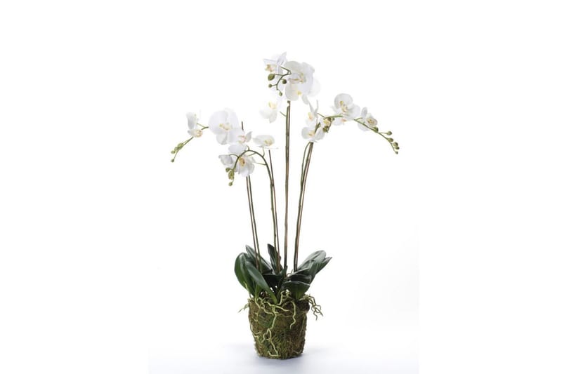 Emerald Konstväxt orkidé m. mossa vit 90 cm 20.355 - Balkongblommor - Konstgjorda växter & plastväxter