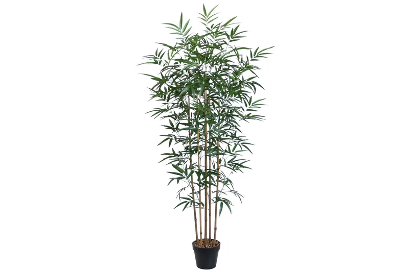 Grön växt BAMBOO H150cm 5 grenar svart kruka, undefined
