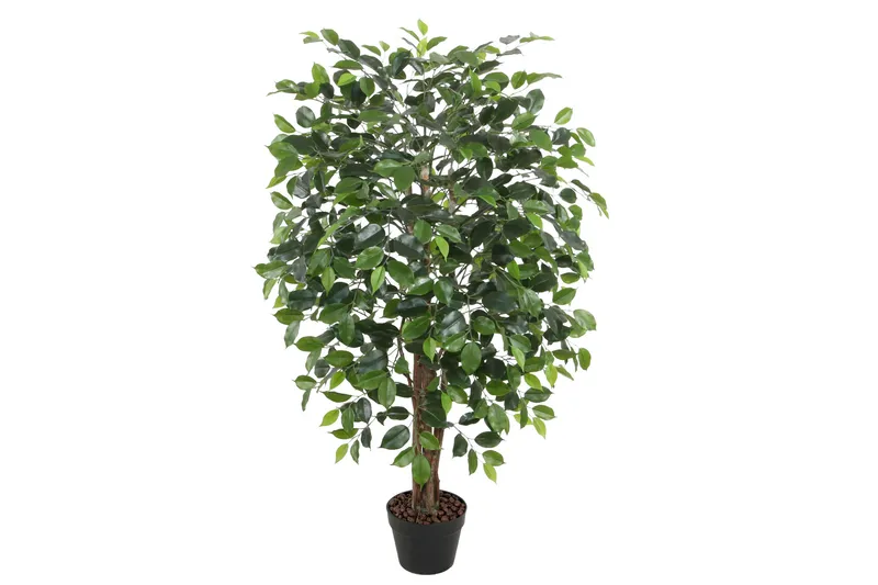 Grön Växt Ficus H120 cm 1 Gren Svart Kruka, undefined