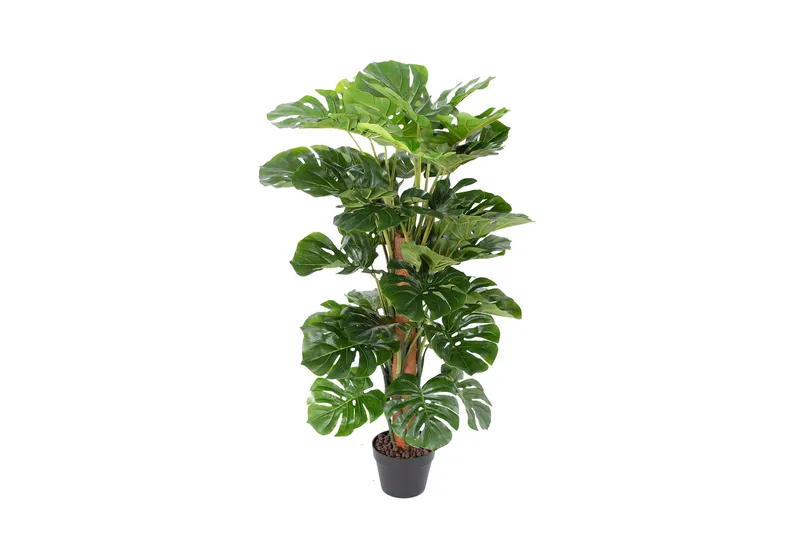 Grön Växt Monstera H105 cm, undefined