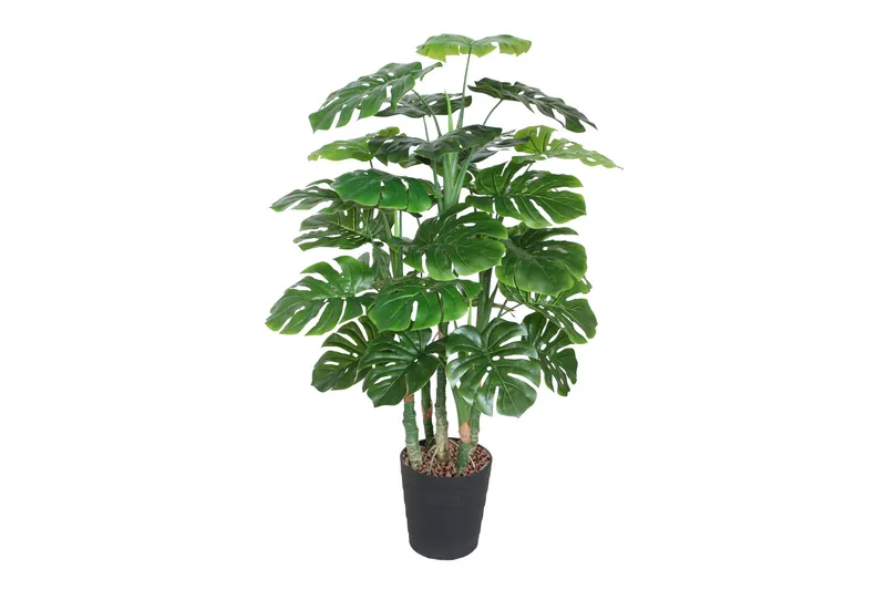 Grön Växt Monstera H120 cm 5 Grenar Svart Kruka, undefined
