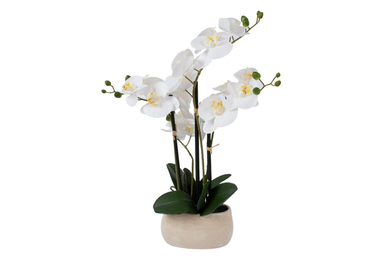 In Garden Konstväxt Orkide Vit - Balkongblommor - Konstgjorda växter & plastväxter