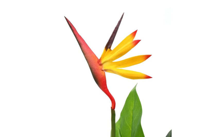 Konstväxt papegojblomma 66 cm - Flerfärgad - Balkongblommor - Konstgjorda växter & plastväxter