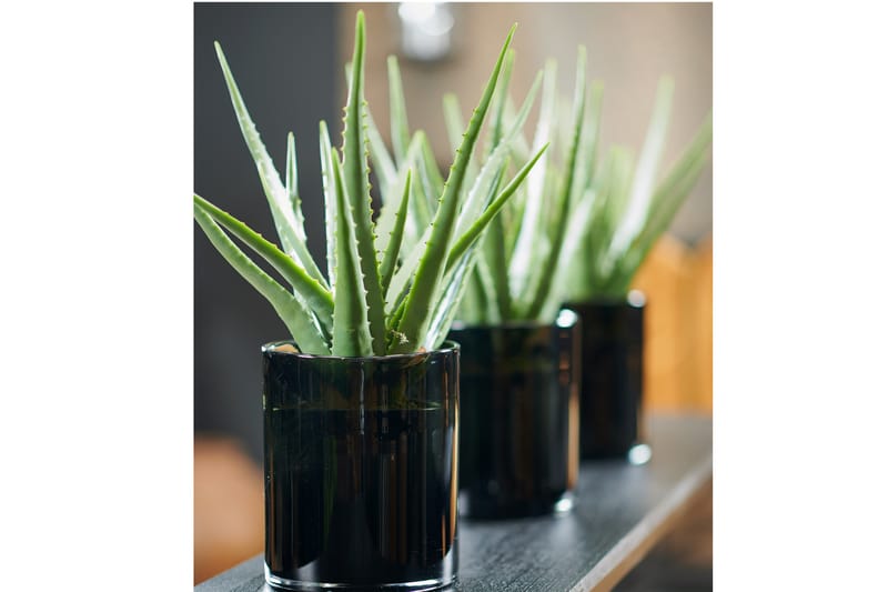 Piscode Konstgjord Växt Aloevera 47 cm - Grön - Balkongblommor - Konstgjorda växter & plastväxter