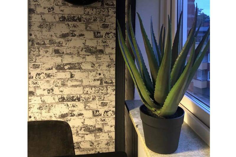 Piscode Konstgjord Växt Aloevera 50 cm - Grön - Balkongblommor - Konstgjorda växter & plastväxter