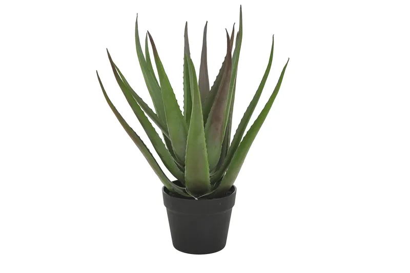 Piscode Konstgjord Växt Aloevera 50 cm, Grön