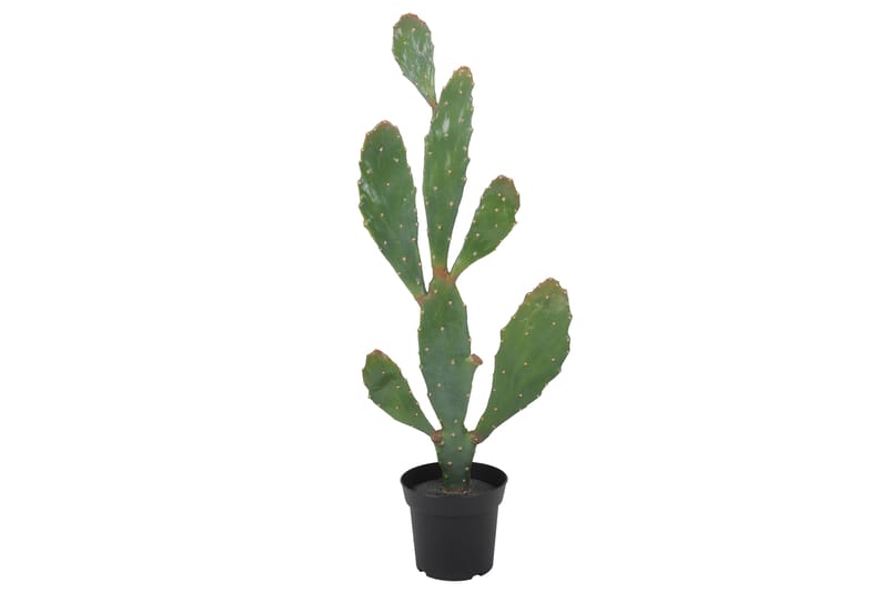 Piscode Konstgjord Växt Kaktus - Grön - Balkongblommor - Konstgjorda växter & plastväxter