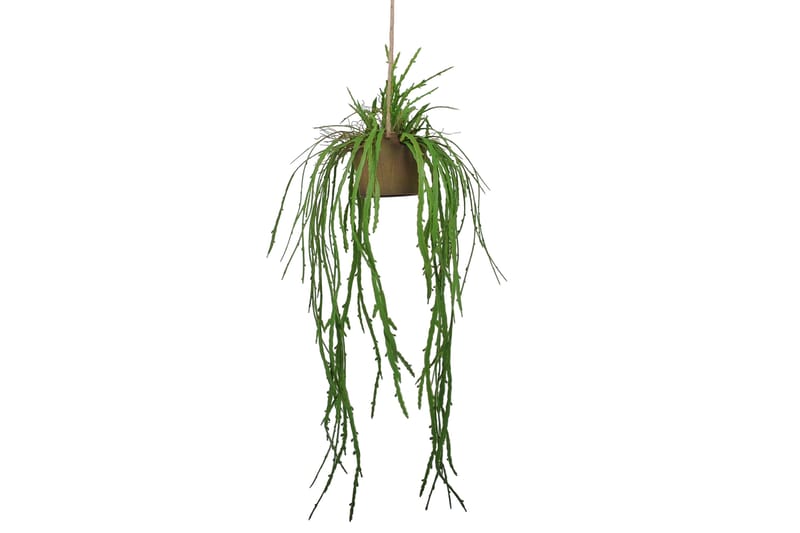Piscode Konstgjord Växt Lochuiss - Grön - Balkongblommor - Konstgjorda växter & plastväxter