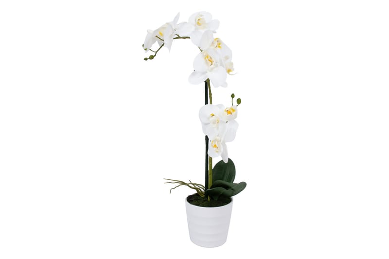 Vit Orkidea 51 cm på Vit Kruka - Balkongblommor - Konstgjorda växter & plastväxter