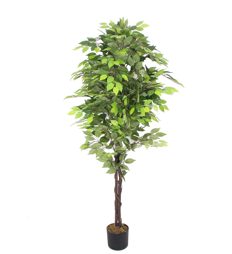 Konstväxt fikus | 180cm, undefined