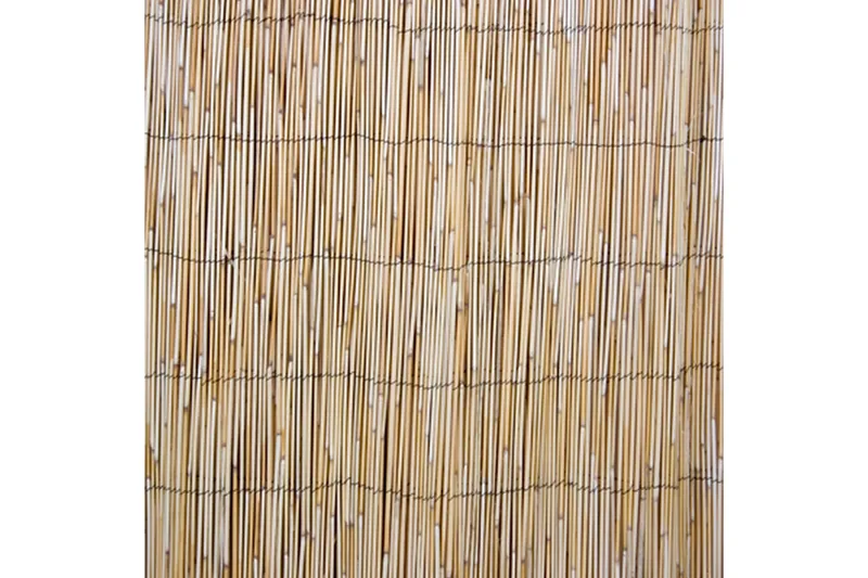 In Garden Skärm Vass - Utemöbler - Balkong - Säkerhet & vindskydd balkong - Balkongskydd & insynsskydd balkong