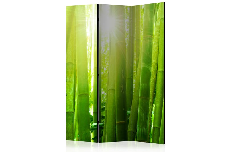 Kadira Rumsavdelare 135x172 cm - Artgeist sp. z o. o. - Inredning - Rumsavdelare - Skärmvägg