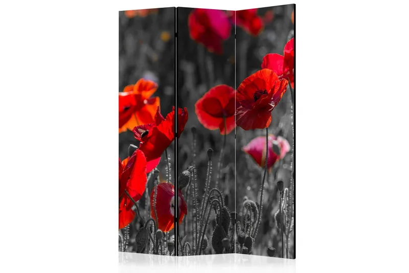 Kadira Rumsavdelare 135x172 cm VALUE_MISSING_1 - Inredning - Rumsavdelare - Vikskärm