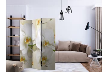 Kadira Rumsavdelare 135x172 cm - Inredning - Rumsavdelare - Vikskärm