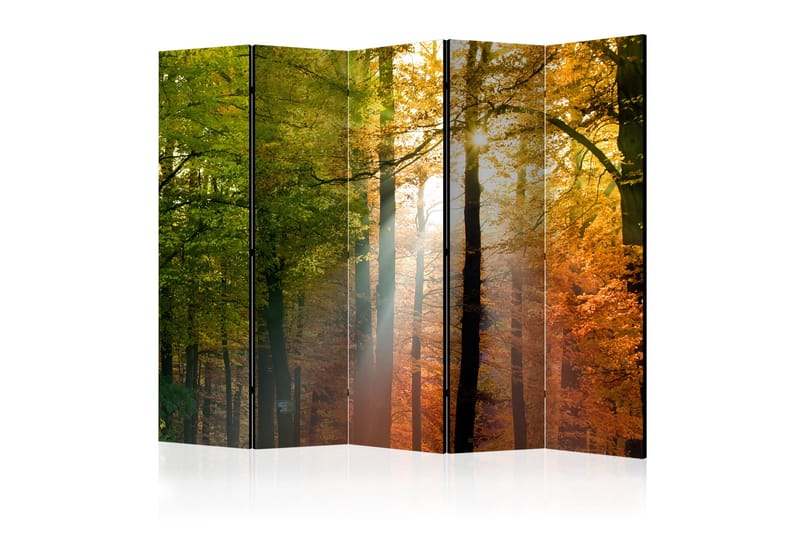Kadira Rumsavdelare 225x172 cm - Artgeist sp. z o. o. - Inredning - Rumsavdelare - Vikskärm