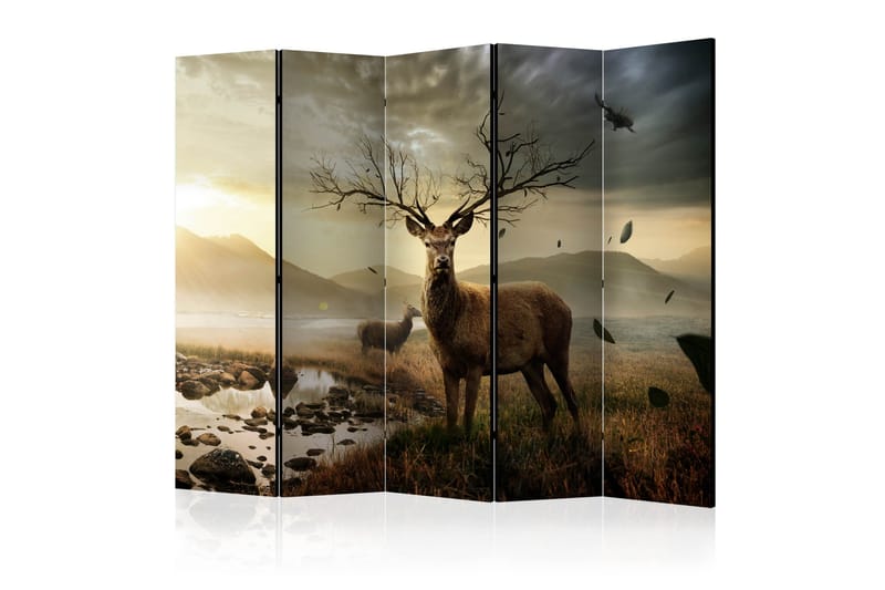 Kadira Rumsavdelare 225x172 cm, Artgeist sp. z o. o.