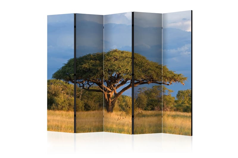Rumsavdelare - African acacia tree, Hwange 225x172 - Artgeist sp. z o. o. - Inredning - Rumsavdelare - Vikskärm