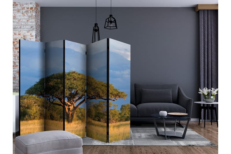 Rumsavdelare - African acacia tree, Hwange 225x172 - Artgeist sp. z o. o. - Inredning - Rumsavdelare - Vikskärm