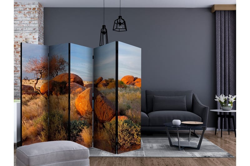Rumsavdelare - African landscape, Namibia II 225x172 - Artgeist sp. z o. o. - Inredning - Rumsavdelare - Vikskärm