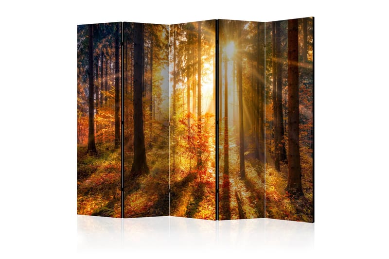 Rumsavdelare - Autumn Awakening II 225x172 - Artgeist sp. z o. o. - Inredning - Rumsavdelare - Vikskärm