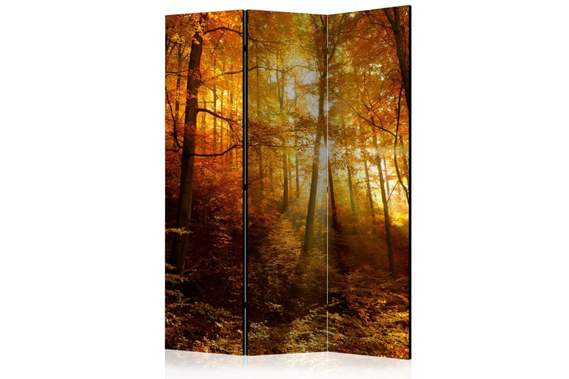 Rumsavdelare - Autumn Illumination 135x172 - Artgeist sp. z o. o. - Inredning - Rumsavdelare - Vikskärm