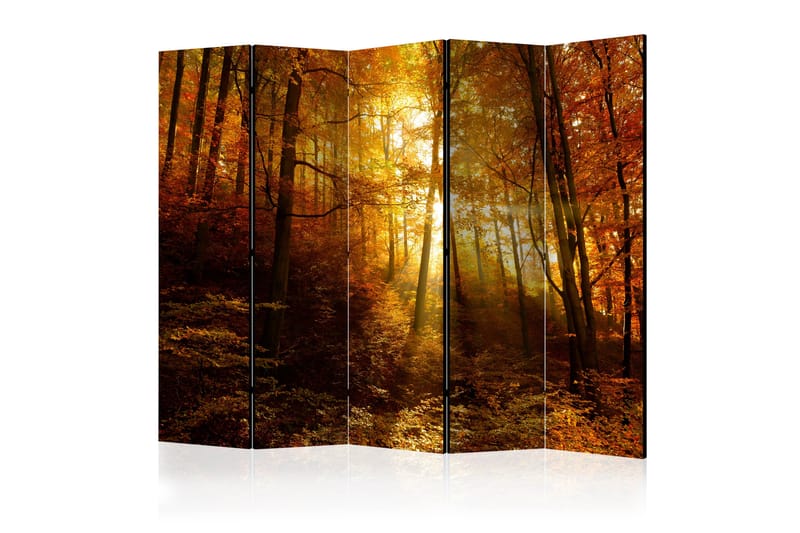 Rumsavdelare - Autumn Illumination II 225x172 - Artgeist sp. z o. o. - Inredning - Rumsavdelare - Vikskärm