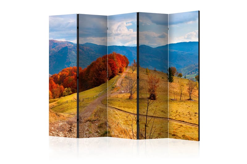 Rumsavdelare - Autumn landscape in the Carpathian 225x172 - Artgeist sp. z o. o. - Inredning - Rumsavdelare - Vikskärm