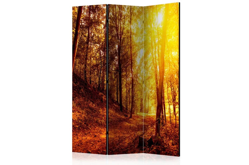 Rumsavdelare - Autumn Walk 135x172 - Artgeist sp. z o. o. - Inredning - Rumsavdelare - Vikskärm