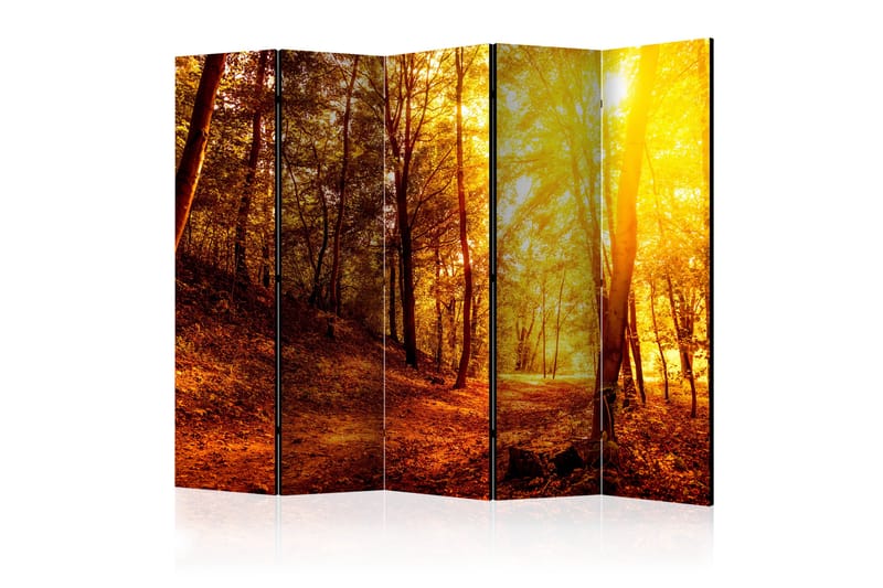 Rumsavdelare - Autumn Walk II 225x172 - Artgeist sp. z o. o. - Inredning - Rumsavdelare - Vikskärm