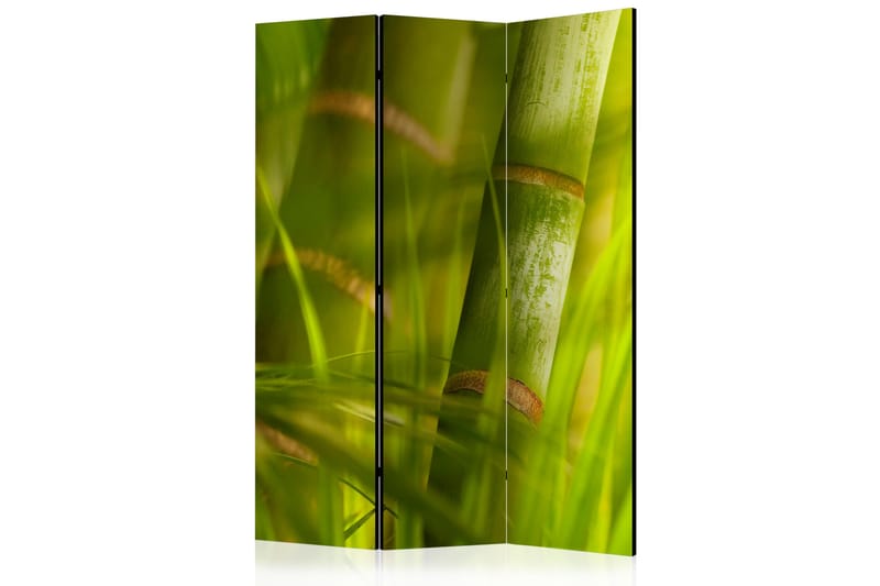 Rumsavdelare Bamboo - Nature Zen 135x172 cm - Artgeist sp. z o. o. - Vikskärm - Rumsavdelare