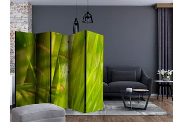 Rumsavdelare Bamboo - Nature Zen II 225x172 cm - Artgeist sp. z o. o. - Inredning - Rumsavdelare - Vikskärm