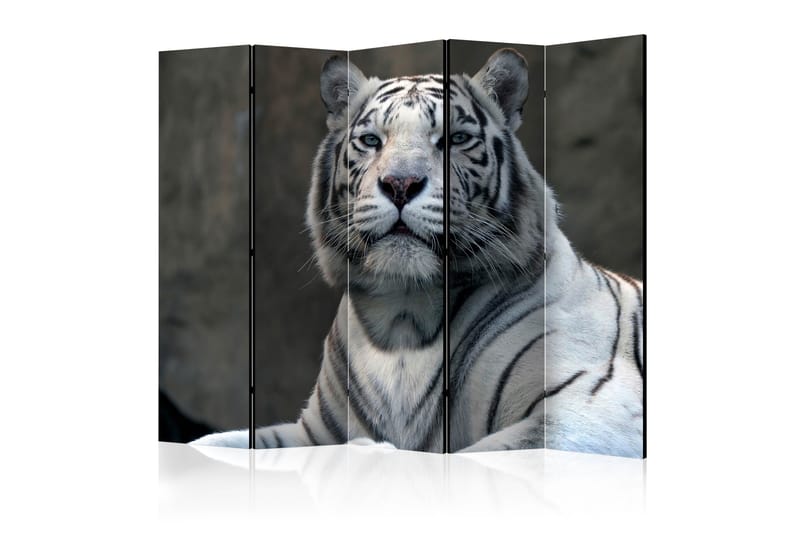 Rumsavdelare - Bengali tiger in zoo II 225x172 - Artgeist sp. z o. o. - Inredning - Rumsavdelare - Vikskärm