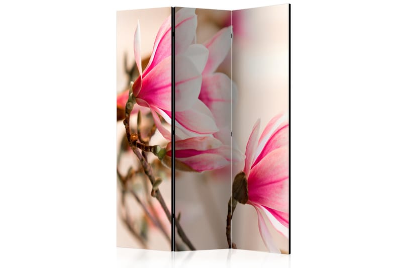 Rumsavdelare - Branch of magnolia tree 135x172 - Artgeist sp. z o. o. - Inredning - Rumsavdelare - Vikskärm