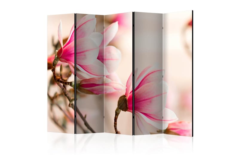 Rumsavdelare - Branch of magnolia tree II 225x172, Artgeist sp. z o. o.