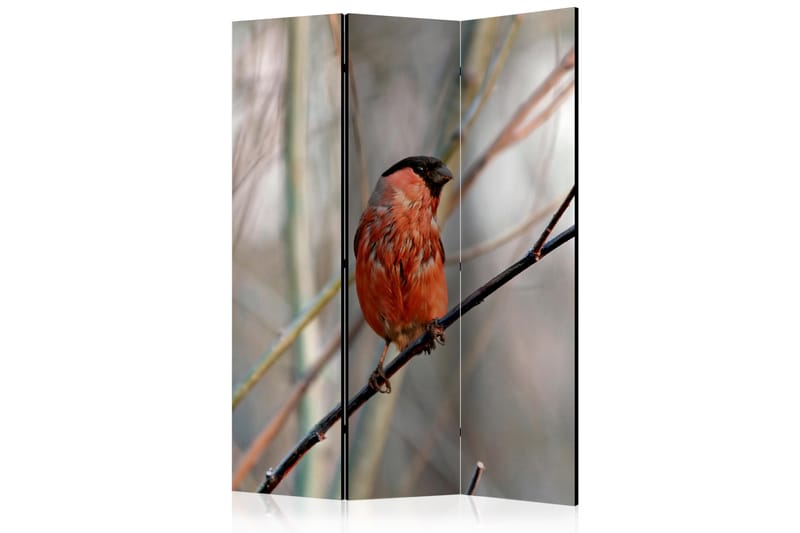 Rumsavdelare - Bullfinch in the forest 135x172 - Artgeist sp. z o. o. - Inredning - Rumsavdelare - Vikskärm