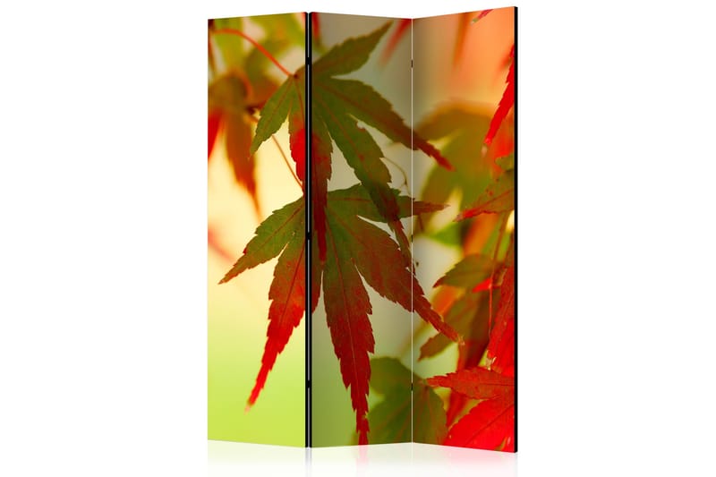 Rumsavdelare - Colourful leaves 135x172, Artgeist sp. z o. o.