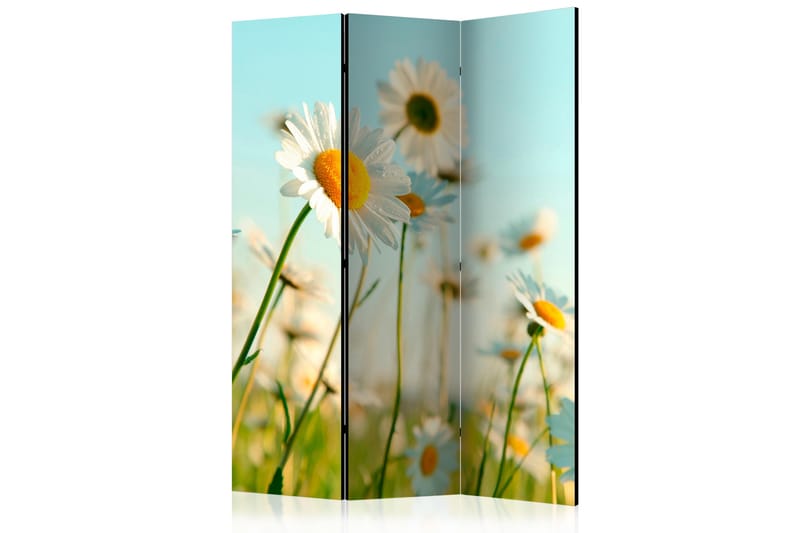 Rumsavdelare - Daisies - spring meadow 135x172 - Artgeist sp. z o. o. - Inredning - Rumsavdelare - Vikskärm