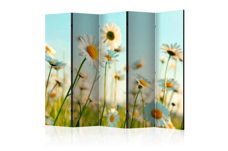 Rumsavdelare - Daisies - spring meadow II 225x172 - Artgeist sp. z o. o. - Vikskärm - Rumsavdelare