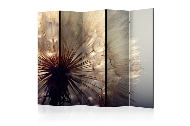 Rumsavdelare Dandelion Kiss 225x172, Artgeist sp. z o. o.