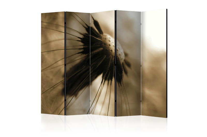 Rumsavdelare - dandelion - sepia II 225x172 - Artgeist sp. z o. o. - Inredning - Rumsavdelare - Vikskärm
