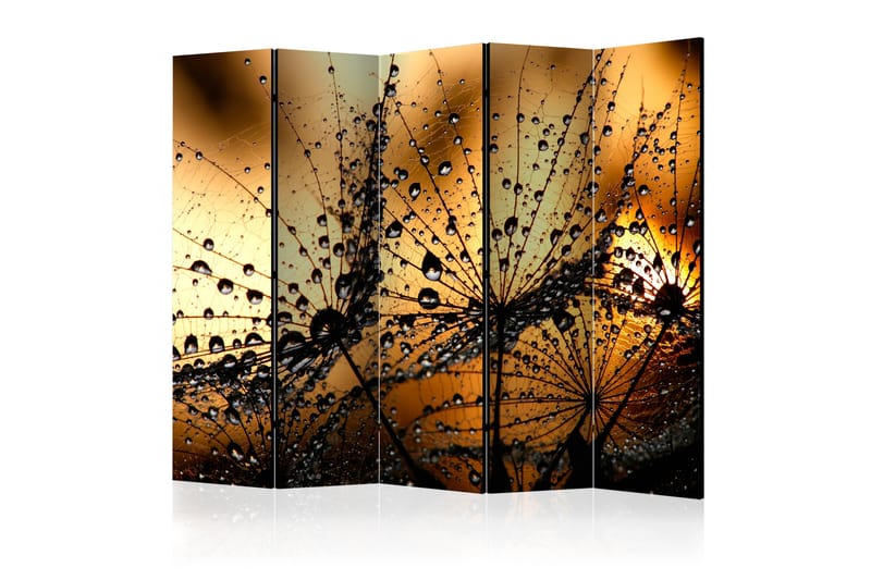 Rumsavdelare Dandelions In The Rain 225x172 - Artgeist sp. z o. o. - Inredning - Rumsavdelare - Vikskärm