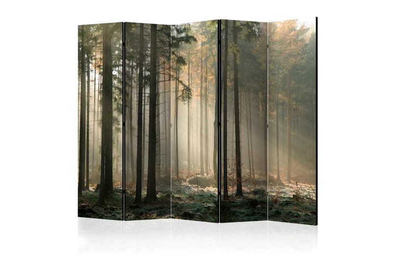 Rumsavdelare Foggy November Morning II 225x172 cm, Artgeist sp. z o. o.