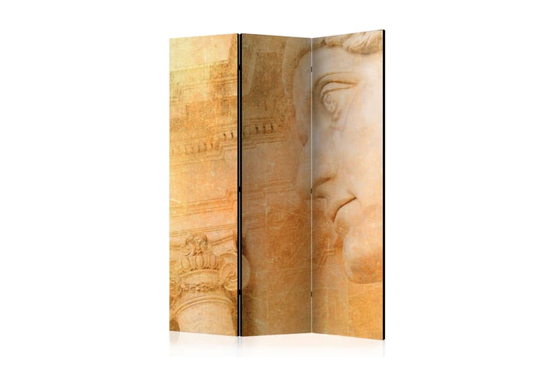 Rumsavdelare - Greek God 135x172 - Artgeist sp. z o. o. - Inredning - Rumsavdelare - Vikskärm