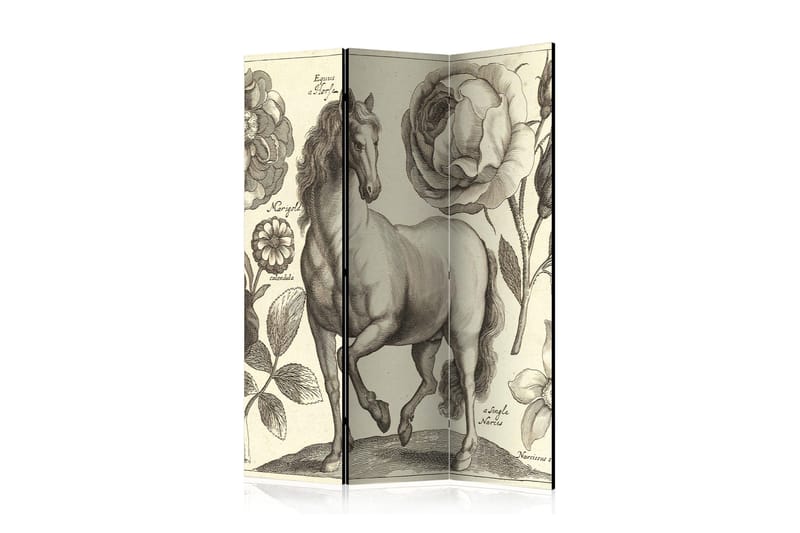 Rumsavdelare Horse 135x172, Artgeist sp. z o. o.