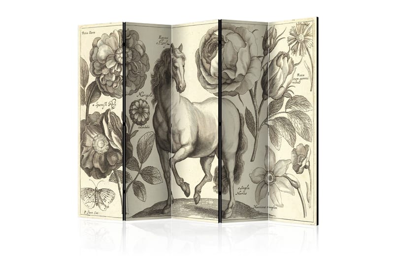 Rumsavdelare Horse 225x172, Artgeist sp. z o. o.