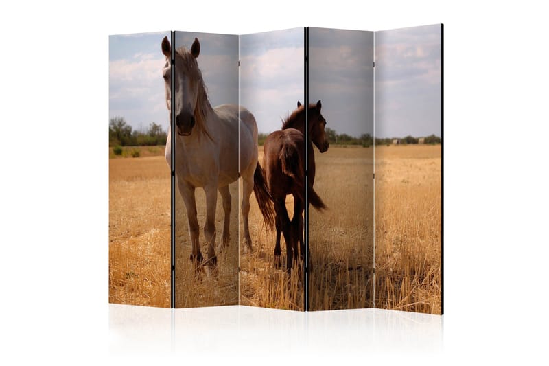 Rumsavdelare - Horse and foal II 225x172, Artgeist sp. z o. o.