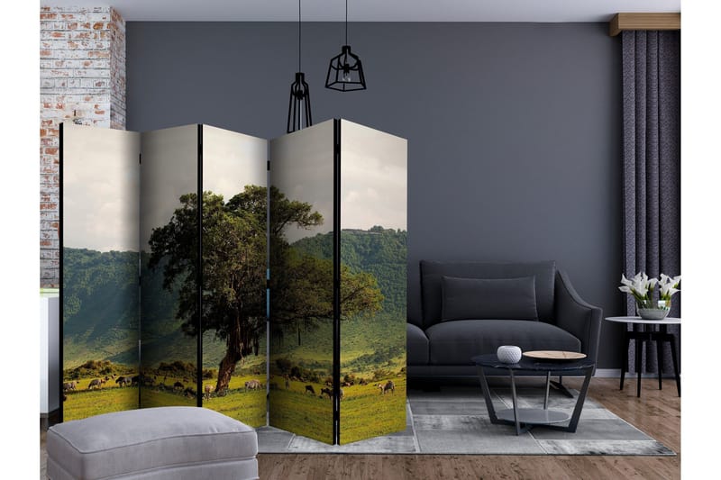 Rumsavdelare - In a crater of Ngoro ngoro II 225x172 - Artgeist sp. z o. o. - Inredning - Rumsavdelare - Vikskärm