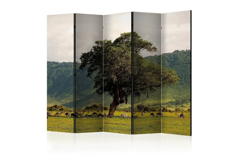 Rumsavdelare - In a crater of Ngoro ngoro II 225x172, Artgeist sp. z o. o.