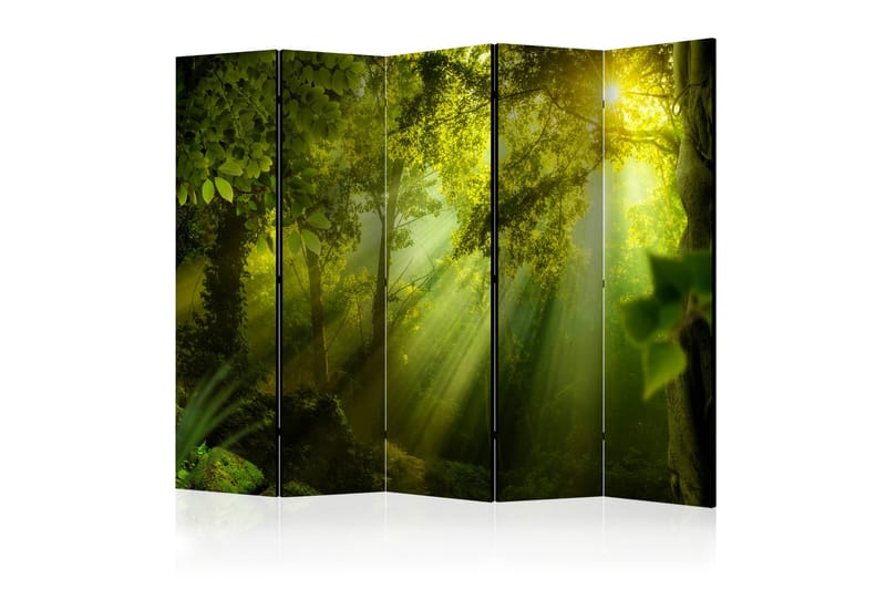 Rumsavdelare -  In a Secret Forest II II 225x172 - Artgeist sp. z o. o. - Inredning - Rumsavdelare - Vikskärm