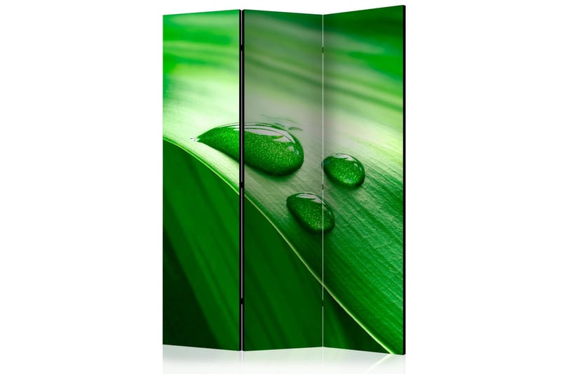 Rumsavdelare - Leaf and three drops of water 135x172, Artgeist sp. z o. o.